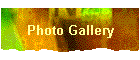 Photo Gallery